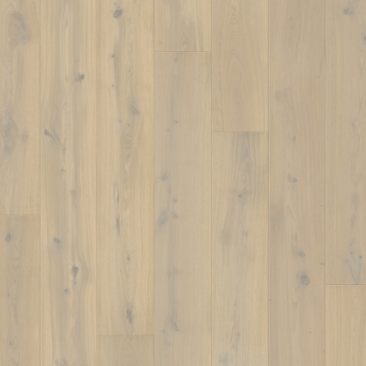 W4069-05117_Topshot-CHENE DOMANIALE.jpg